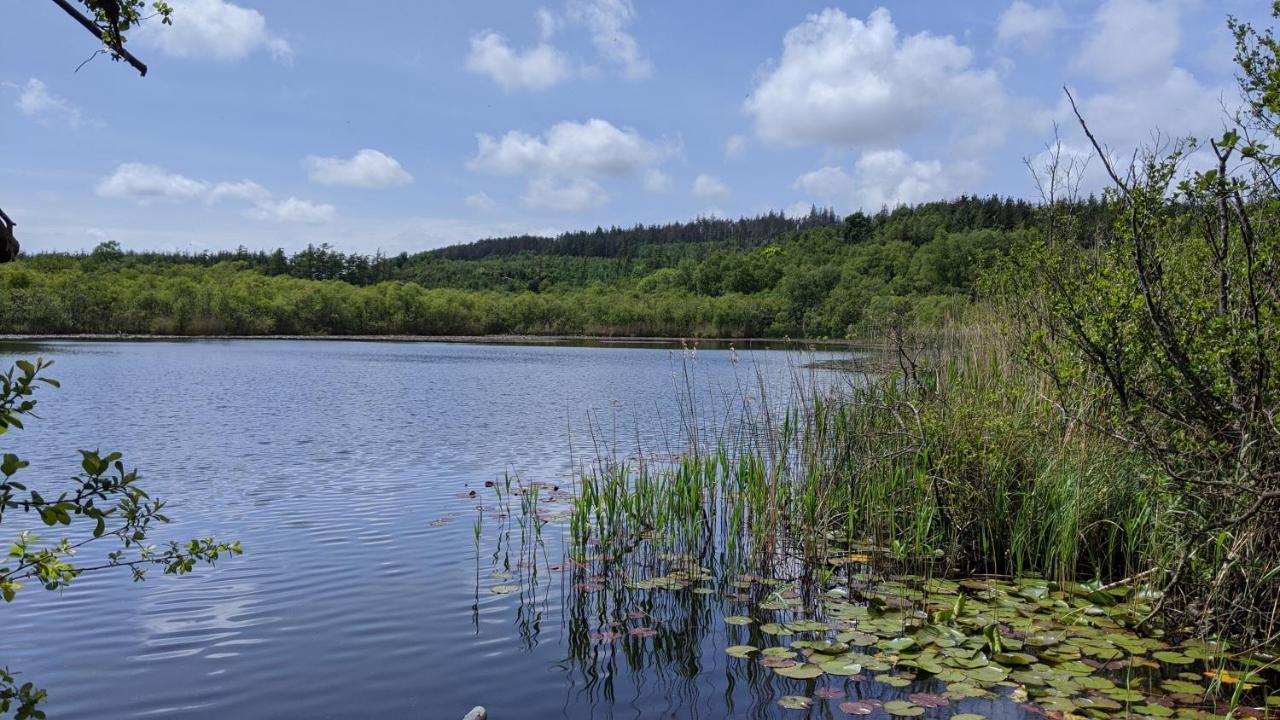 No7 Glan Nodwydd Villa Pentraeth Екстериор снимка